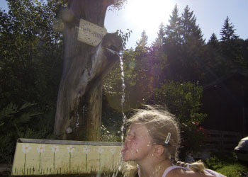 kneippbrunnen ferienwohnung reith seefeld
