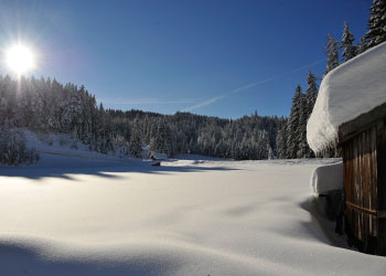 winterlandschaft ferienwohnung reith seefeld